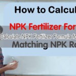 Calculate NPK Formula