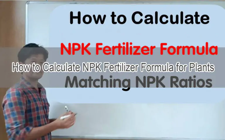 NPK-Formel berechnen