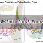 NPK Fertilizer Prices