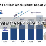 NPK Price in 2024