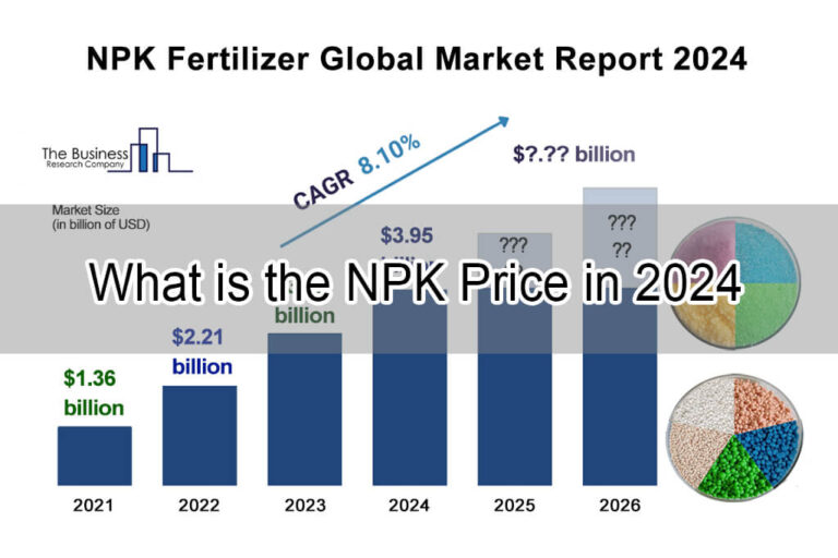 What is the price of NPK Fertilizer in 2024