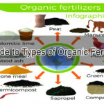 A Guide to Types of Organic Fertilizers