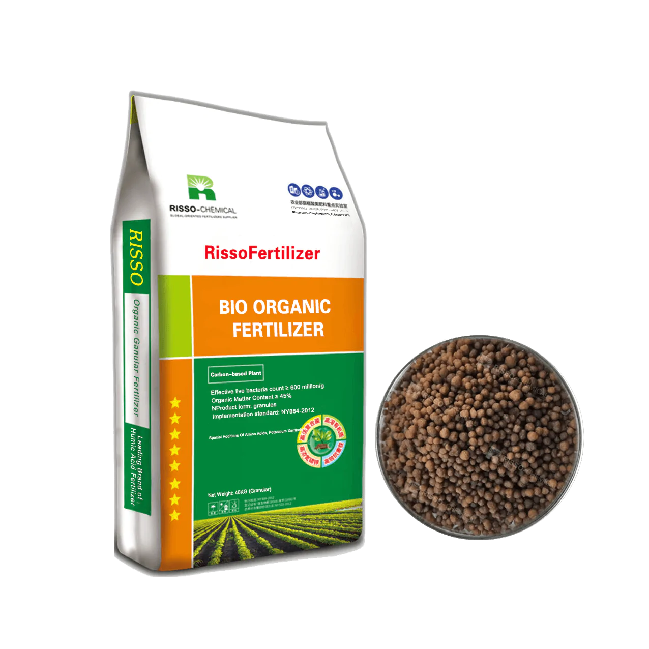 ជីសរីរាង្គរបស់ Risso