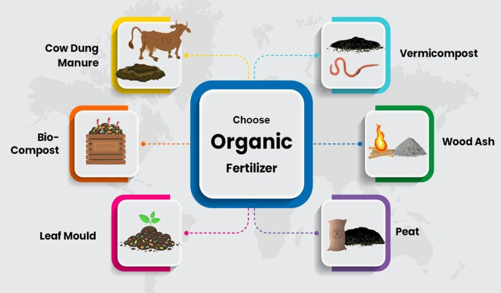 Choose Organic Fertilizer