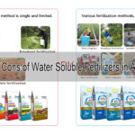 Pros and Cons of Water Soluble Fertilizers in Agriculture