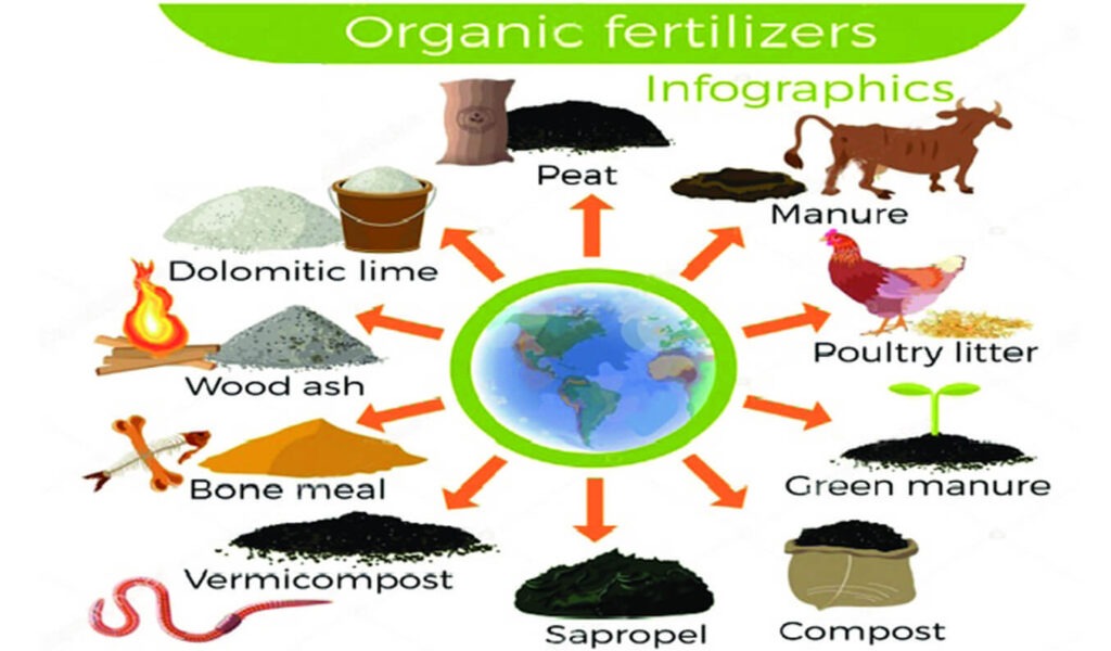 Types of organic fertilizers