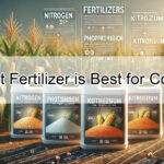 What Fertilizer is Best for Corn