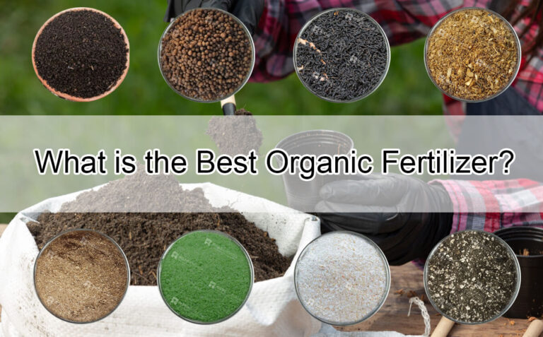 What is the Best Organic Fertilizer: Sustainable Solutions