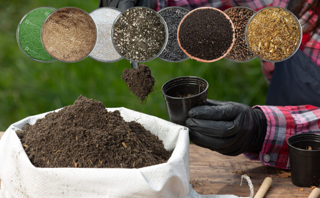 the Best Organic Fertilizer