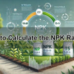 How to Calculate the NPK Ratio