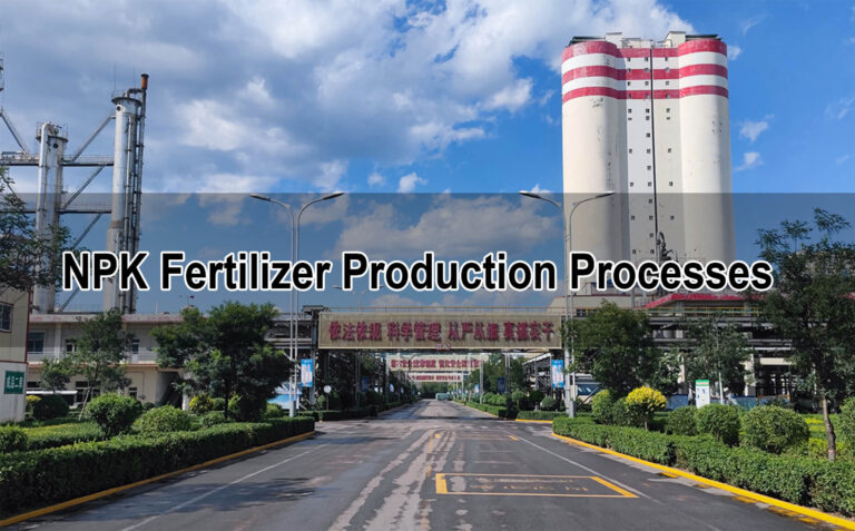 Risso's NPK Fertilizer Production Processes