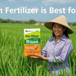 Which Fertilizer is Best for Rice1