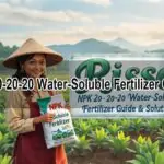 20-20-20 Water-Soluble Fertilizer Guide