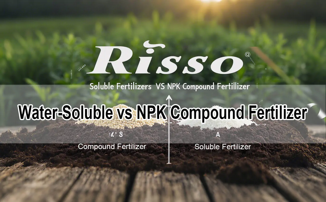 löslicher Dünger vs. NPK (1)