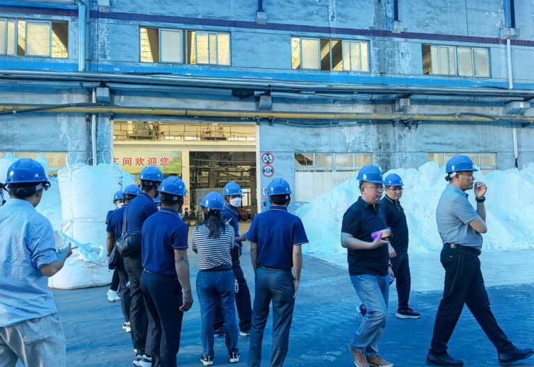 Risso ammonium sulfate production workshop