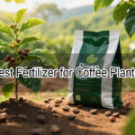 Best Fertilizer for Coffee