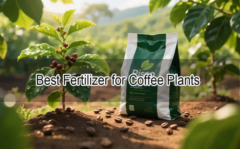 El mejor fertilizante para el café