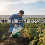 Best NPK Fertilizer for Soybeans