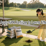How to Apply NPK Fertilizer to Lawns Effectively