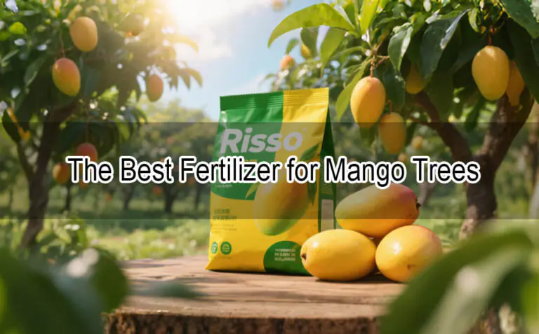 El mejor fertilizante para el mango