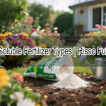 Water-Soluble Fertilizer Types