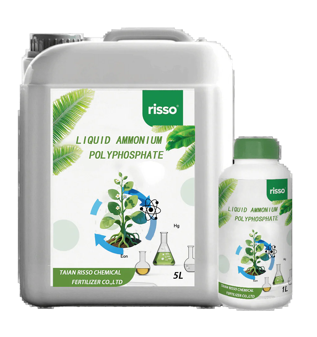 រាវ - អាម៉ូញ៉ូម - ប៉ូលីផូស្វាត