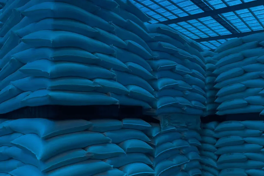 រុក្ខជាតិជី