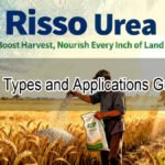 Urea Types and Applications Guide1