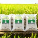 npk-fertilizer-potassium-sources
