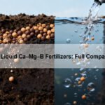 Granular vs Liquid Ca–Mg–B Fertilizers Full Comparison Guide
