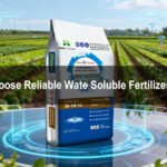 How to Choose Reliable Wate Soluble Fertilizer Suppliers (1)