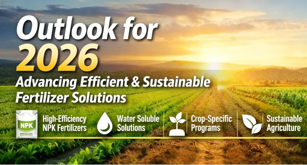 Outlook for 2026 Risso