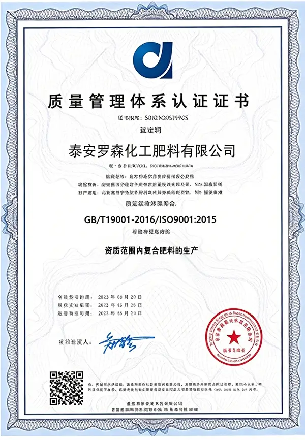 ISO-Chinese-Certificate