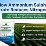 Ammonium Sulphate Nitrate (ASN) fertilizer reduces nitrogen loss and improves Nitrogen Use Efficiency (NUE) for sustainable agriculture by Risso.