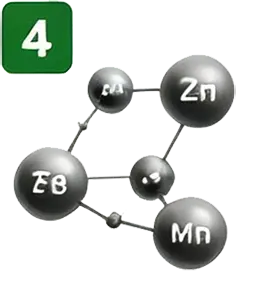 Chelated Micronutrient Technology