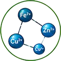 Micronutrient Ion icon