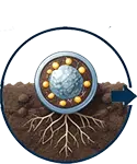 Nutrients Dissolve icon