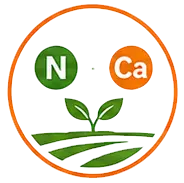 Nitrogen & Calcium Nutrition