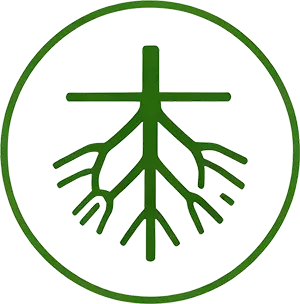 Activación de la raíz