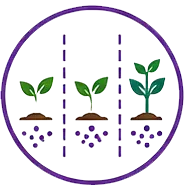 Split Application icon