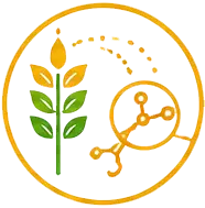Supports Protein Synthesis icon