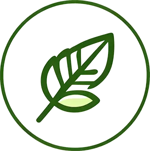 Crecimiento vigoroso de las plantas