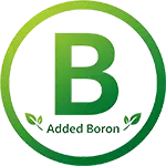 Boron icon