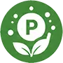 High Phosphorus icon