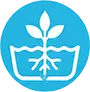 Hydroponics icon