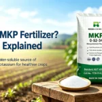 What is MKP Fertilizer 0-52-34 Explained
