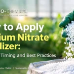 How to apply calcium nitrate fertilizer for healthy crop growth, with fertilizer granules and tomato plants in an agricultural setting.